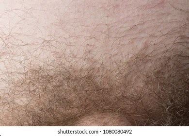 Pubic Hair Images – Browse 2,790,489 Stock Photos, Vectors,。